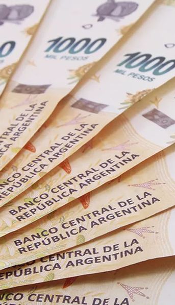 PLAZO FIJO en la era Milei: CUÁNTO GANO depositando $600 mil con la NUEVA TASA