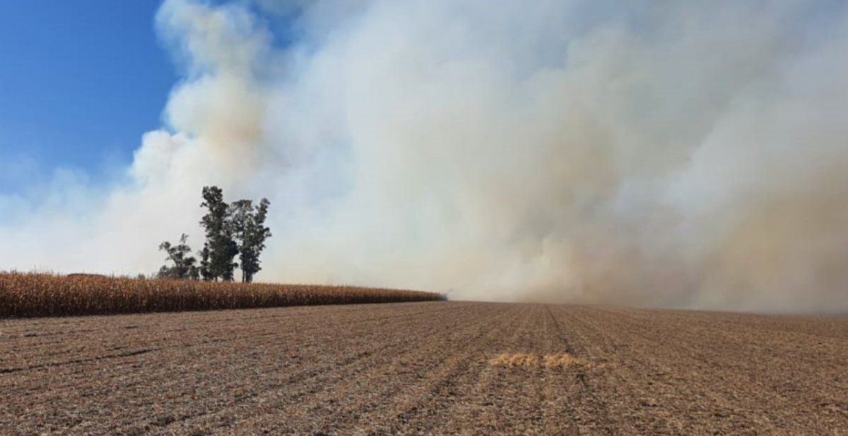 ¿Violencia política? CRA denuncia un incendio intencional en el campo del vicepresidente de la entidad