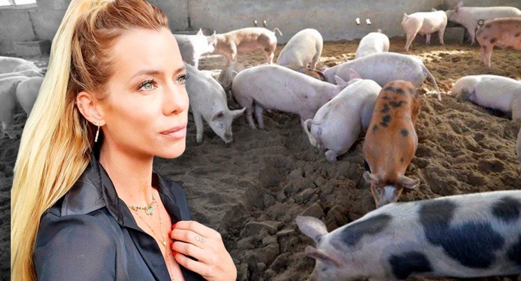 Nicole Neumann volvió a apuntar contra los que comen carne: Sigan...
