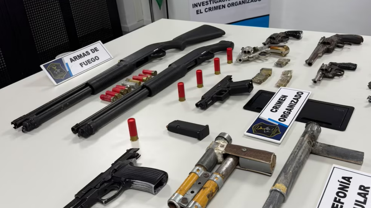 Las armas secuestradas en los allanamientos.&nbsp;