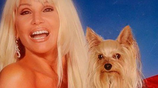 ¿Cuál es la raza del perro famoso de Susana Giménez?