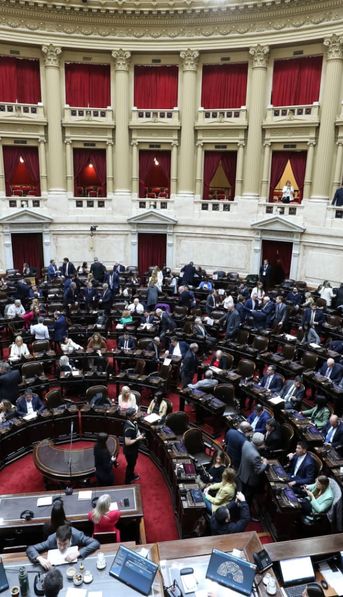 Comunicado del Gobierno tras la votación en Diputados: Si es necesario vamos a vetar todo