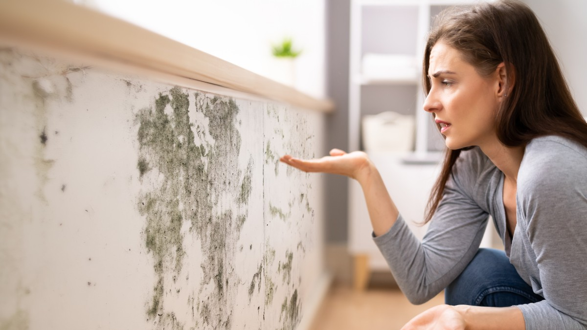 TRUCO DE ARQUITECTOS: eliminar manchas de humedad de las paredes sin gastar en pintura TRUCO DE ARQUITECTOS: eliminar manchas de humedad de las paredes sin gastar en pintura