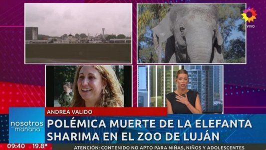 La muerte de Sharima, la elefanta del zoológico de Luján: Nicole Neumann se cruzó con la encargada de cuidarla