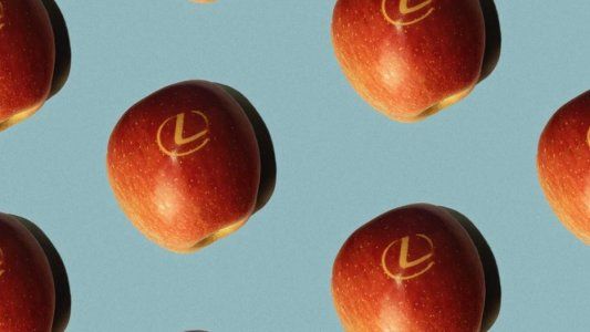 Lexus, del Grupo Toyota, produce manzanas en España. Una buena acción para replicar en la Argentina