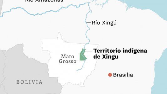 La agroindustria destruye el mayor territorio indígena del Amazonas