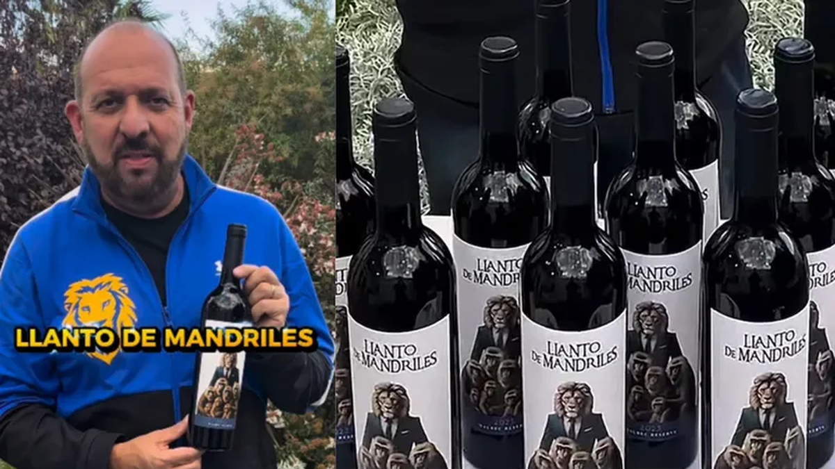 La insólita campaña de un candidato en San Luis: sortea vinos entre los que voten al hecho de corrupción más grave