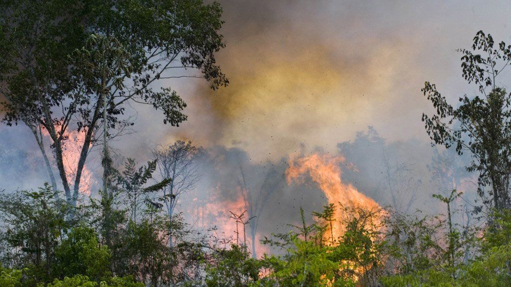 En medio del aumento de incendios forestales en el Amazonas, Bolsonaro salió a defender su política medioambiental