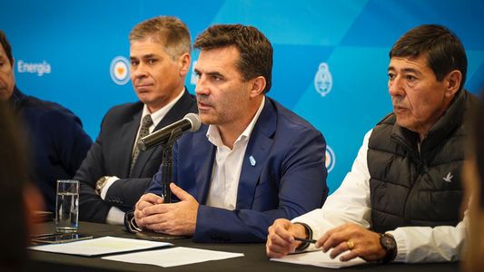 Darío Martínez renunció a la Secretaría de Energía