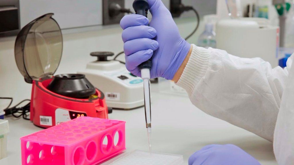 Científicos argentinos realizaron nuevos hallazgos en los genomas virales del coronavirus nacional