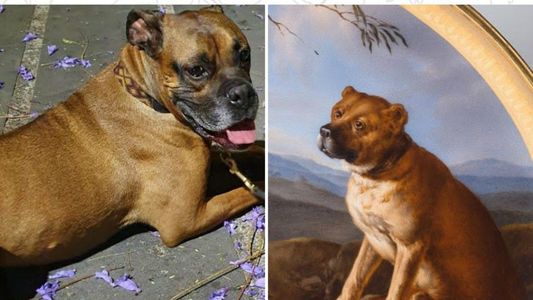 Google te ayuda a saber si tu mascota se parece a una obra de arte