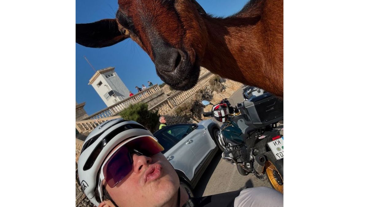 La selfie que Franco Colapinto se sacó con una cabra. 