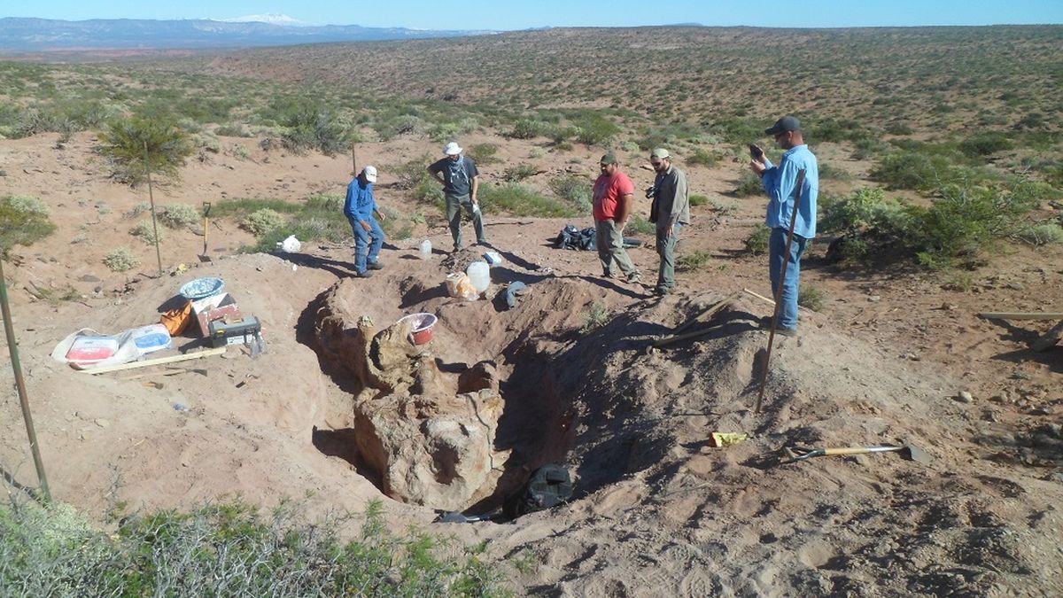 Científicos del Conicet descubrieron un nuevo dinosaurio que vivió hace 86 millones de años en Neuquén. (Conicet)