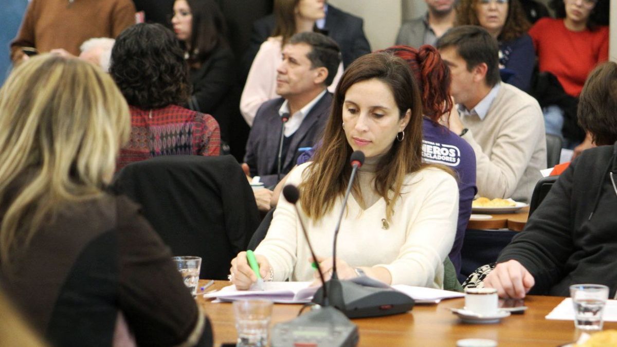 La diputada de La Cámpora consideró que la solución no es generar directamente una norma frente a los discursos de odio (Foto: Florencia Lampreabe).