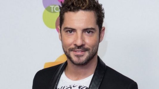 David Bisbal rompió el silencio y apuntó contra Julieta Ortíz