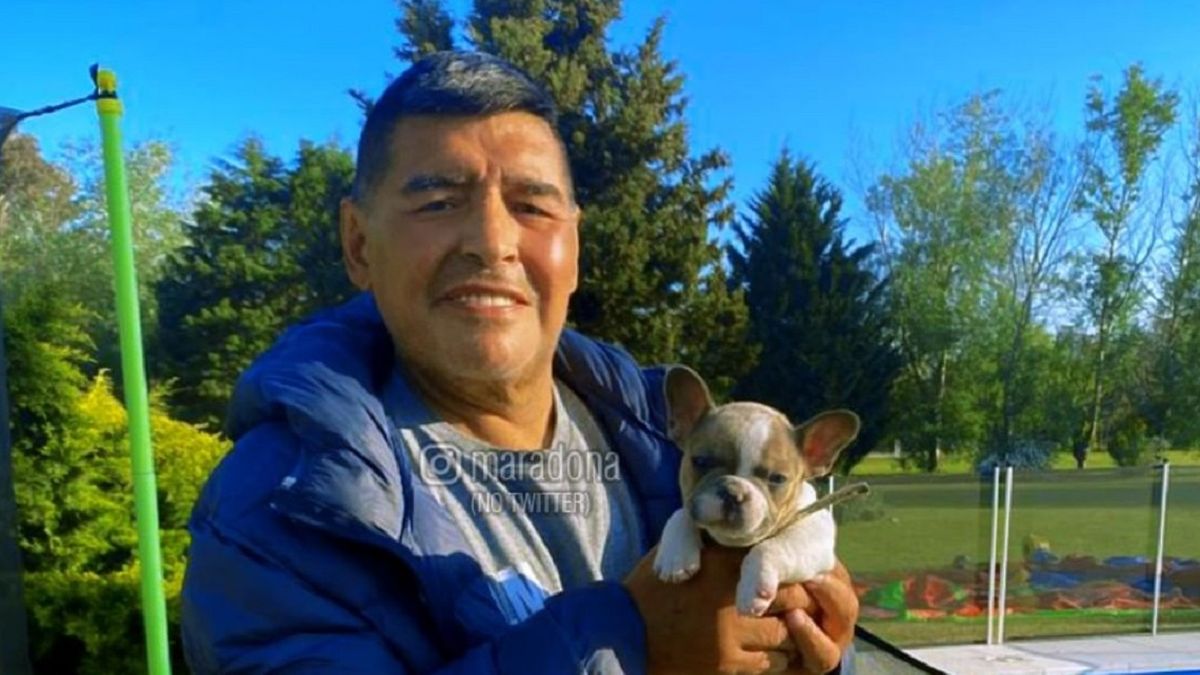 -Diego Maradona-