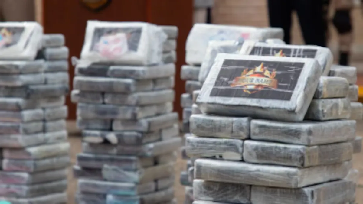 Los ladrillos de coca&iacute;na secuestrados.&nbsp;