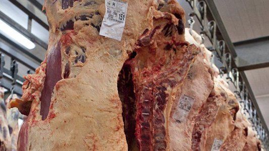 Frigoríficos regionales, contra las restricciones a la exportación: derivarán en una menor producción