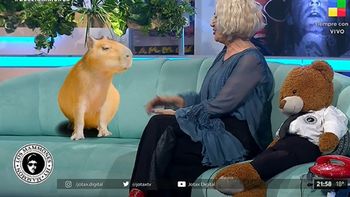 mercedes moran revelo su poder de telepatia con animales