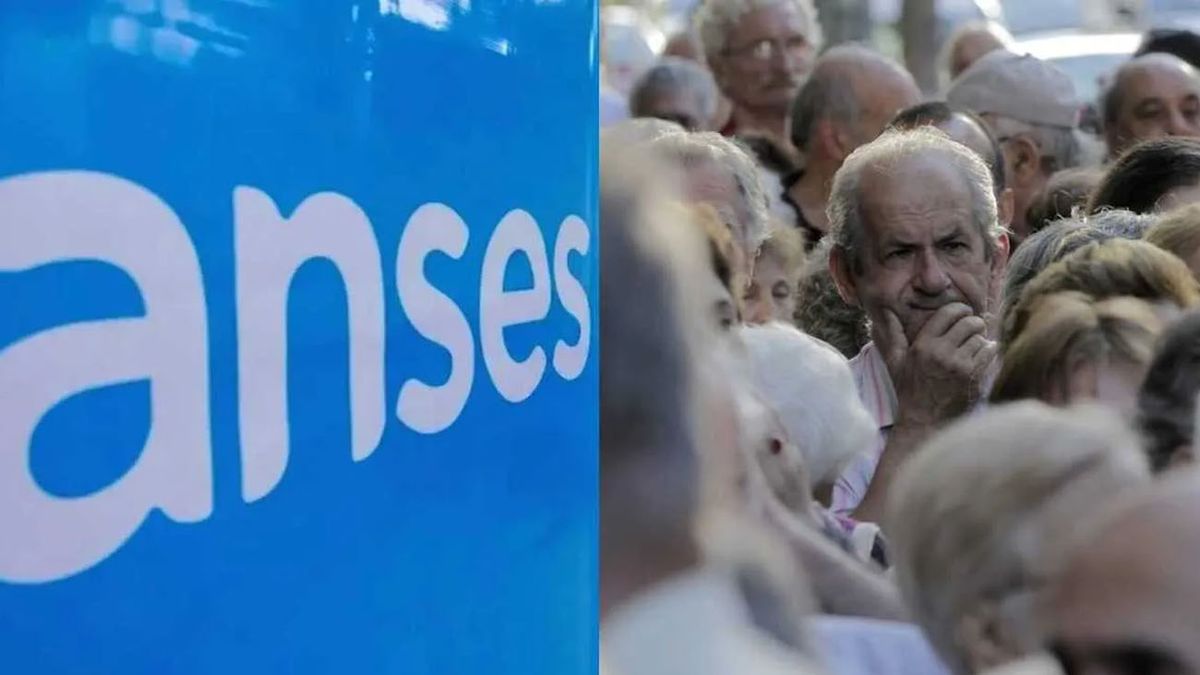ALERTA JUBILADOS de ANSES: por qué no pueden pedir un crédito (Foto: archivo)