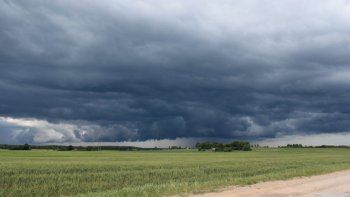 La lluvia aparece nuevamente en el horizonte del campo: ¿Qué pronostica el INTA?