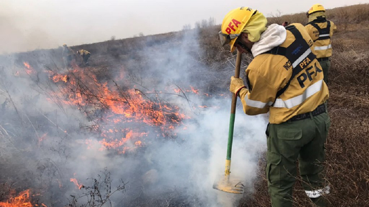 Incendios: quiénes son los 3 detenidos, el pedido desesperado de Omar Perotti y el proyecto para declarar la emergencia ambiental