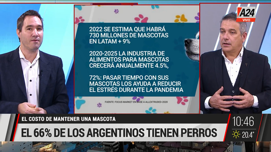 ¿Cuánto cuesta mantener a un perro o un gato en la Argentina?