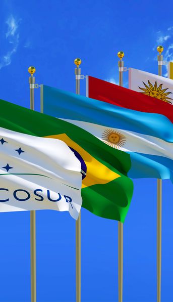 El Mercosur en tela de juicio