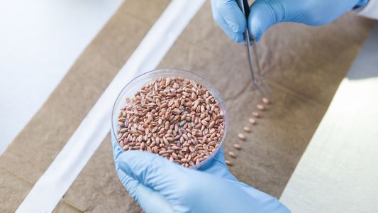 De la mano de productos biológicos, una empresa argentina acelera su crecimiento en Brasil