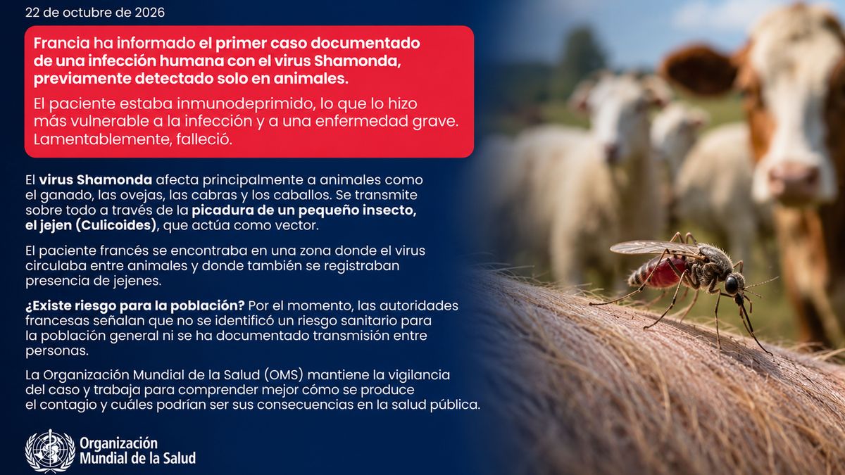 El primer reporte de la OMS sobre el caso fatal de Zoonosis por el virus de Shamonda en Francia. (Foto: OMS)