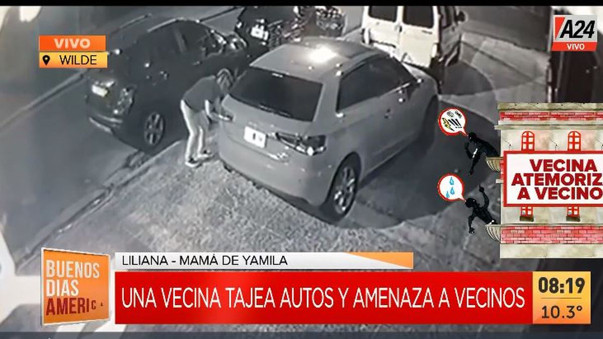 Terror en Wilde: una vecina tajea autos y arroja frascos de vidrio. (Captura de Tv)