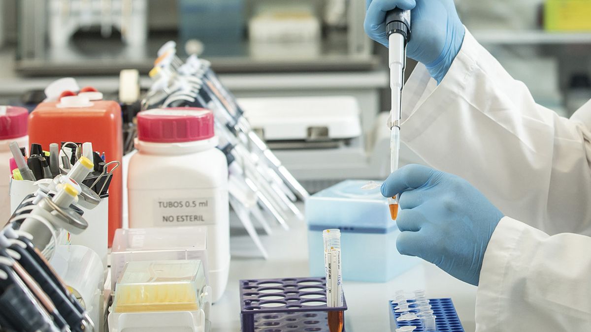 Suero equino hiperinmune: terapistas relativizan su eficacia, aunque el laboratorio insiste en que reduce hasta 45% la mortalidad