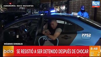 Chocó contra un poste en Agronomía, se resistió a la policía y destruyó un patrullero