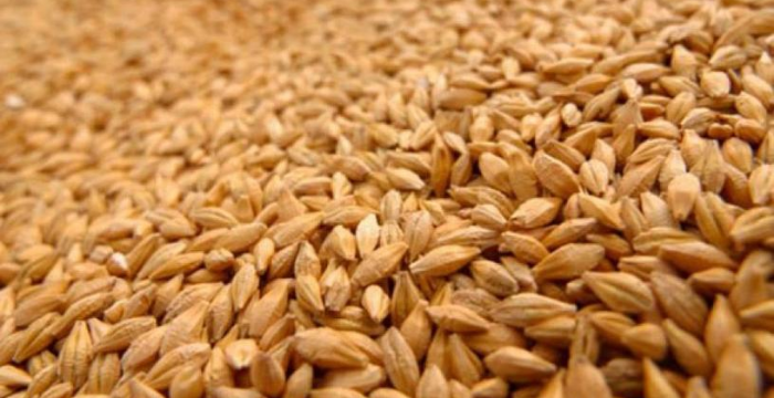 PBA: crean el Banco para Abastecimiento de Insumos Agropecuarios