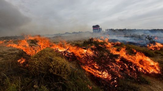 Incendio en Puerto Madryn: se reaviva el fuego y alertan que los vientos podrían dificultar el control