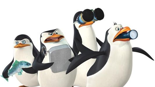 Pingüinos intentaron escapar de un zoológico como en la película Madagascar