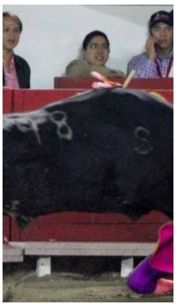 La brutal embestida de un toro durante una corrida