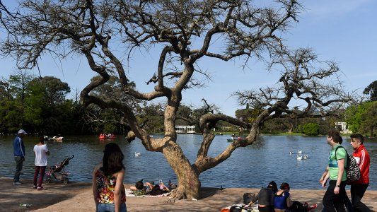 Cuándo comienza realmente la primavera y cómo estará el tiempo