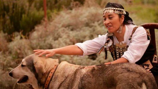 Apareció bien Llanka Millán, la hija de la referente mapuche Moira Millán