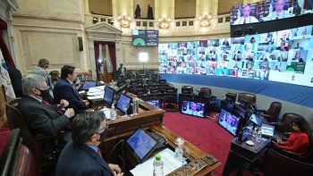 Vicentin: el juez respaldó a los directivos de la empresa, mientras que el Senado aprobó una investigación de sus deudas