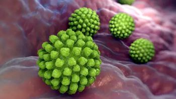 Norovirus y rotavirus: ¿qué riesgo representan los virus detrás de la epidemia de diarrea en el sur de Brasil?