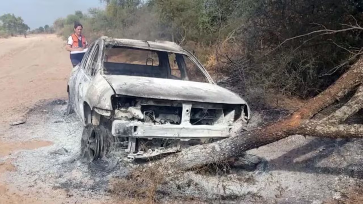 Iba a visitar la tumba de su mamá, perdió el contro por un enjambre de abejas y encontró el peor final