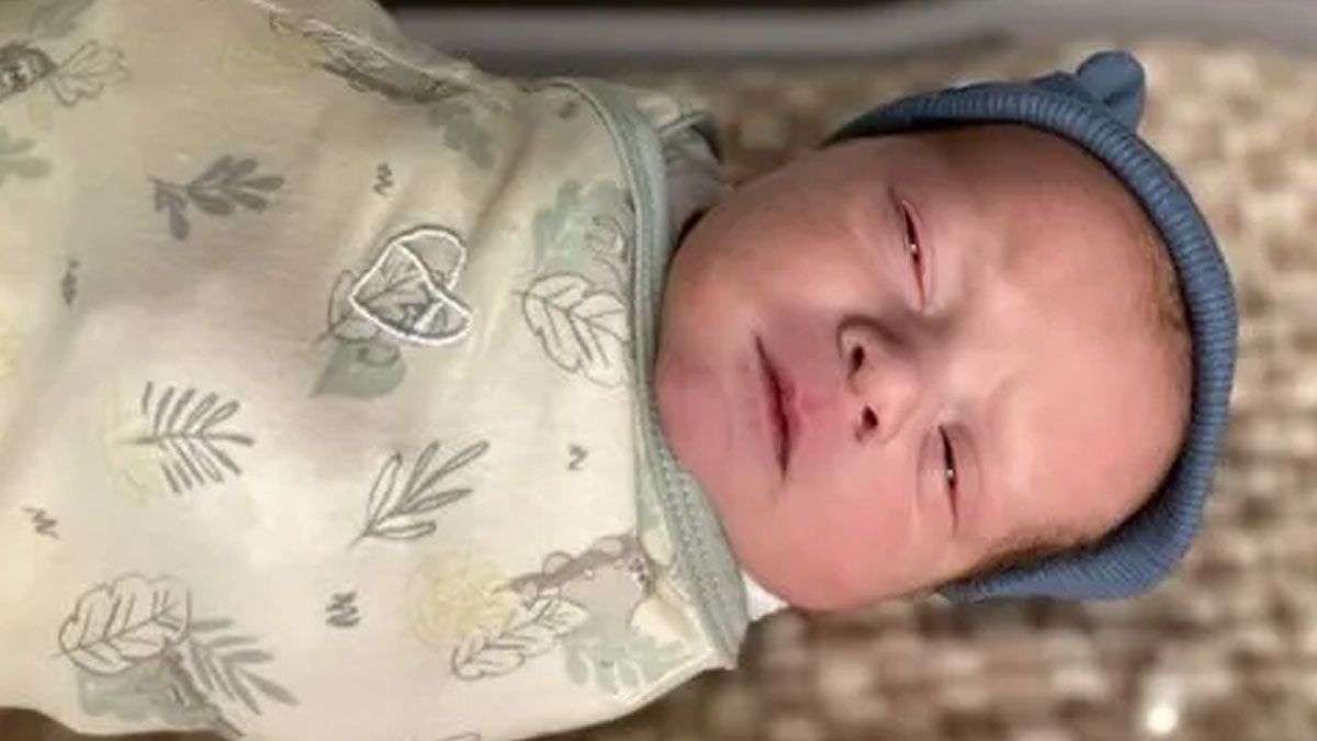 ¿Un bebé de apenas 4 meses o de 31 años de edad? (Foto: Gentileza MIT)