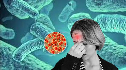 Un nuevo brote de una enfermedad mortal en México preocupa a la OMS