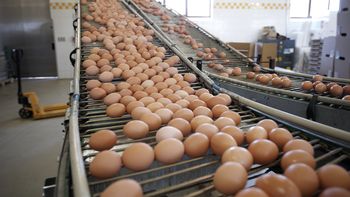 Invirtieron en máquinas, aumentaron su productividad y ahora exportan al mundo