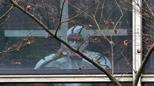 Los expertos de la OMS revisan el laboratorio de Wuhan en busca del origen de la pandemia