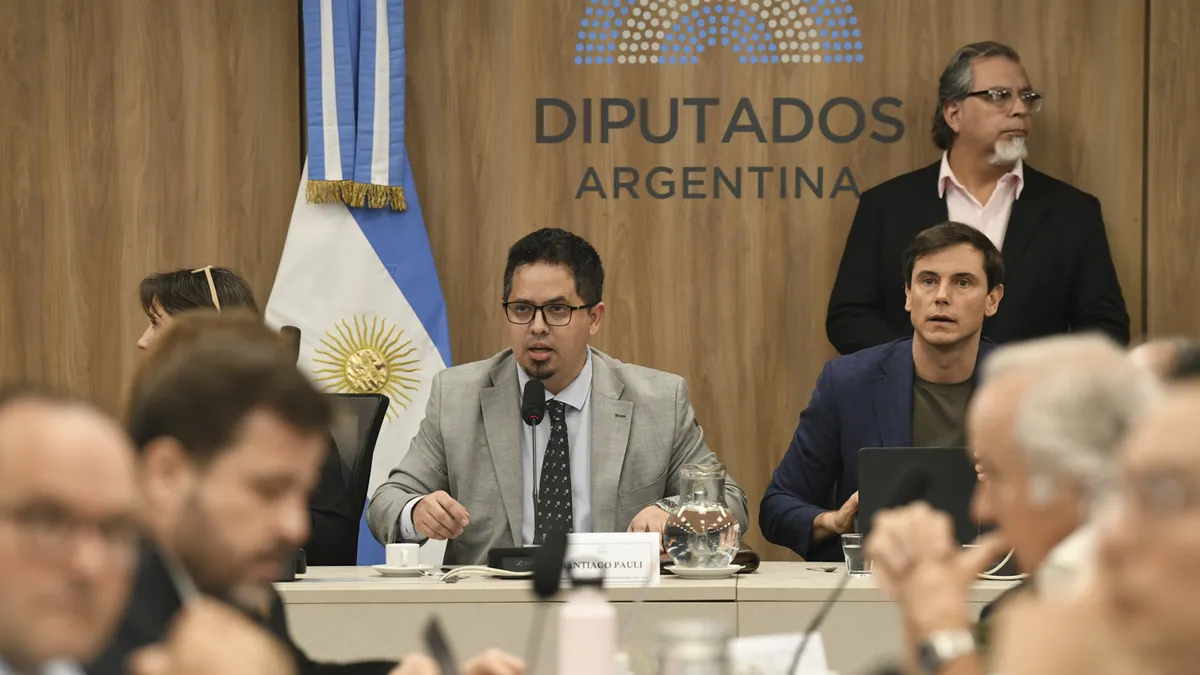 El presidente de la Comisión de Finanzas, Santiago Pauli. (Foto: @DiputadosAR)