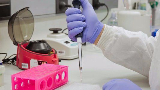 Coronavirus criollo: científicos lograron secuenciar más de 400 genomas de SARS-CoV2 del país