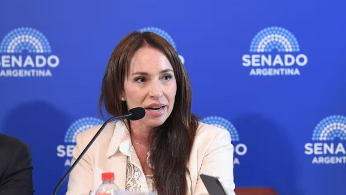 El ministro de Justicia, Juan Bautista Mahiques, junto con el presidente Javier Milei, remitieron al Senado la solicitud formal para retirar la candidatura de Michelli. (Foto: Senado)