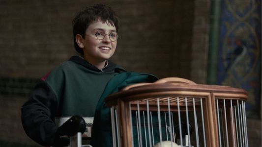 Harry Potter: HBO anunció a los actores que interpretarán a Arthur Weasley, Myrtle la Llorona y Colin Creevey